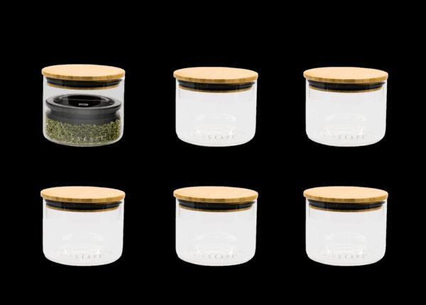 Airscape® Glass Freshness Box, S, Set of 6