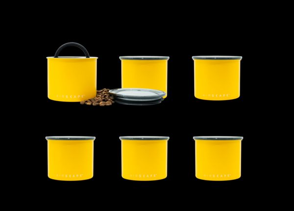 Airscape® Frischhaltebox Gelb, S, 6er Set