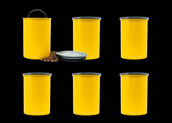 Airscape® Frischhaltebox Gelb, M, 6er Set